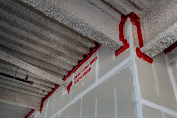 Fireproofing Options: Intumescent Paint, Boards, and Sprays