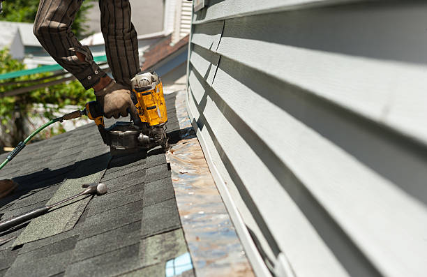 Roof & Cladding Repairs: Common Issues and Fixes